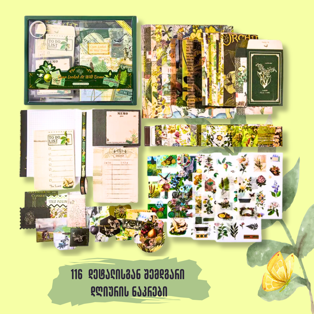 Wild Dome დღიურის ნაკრები