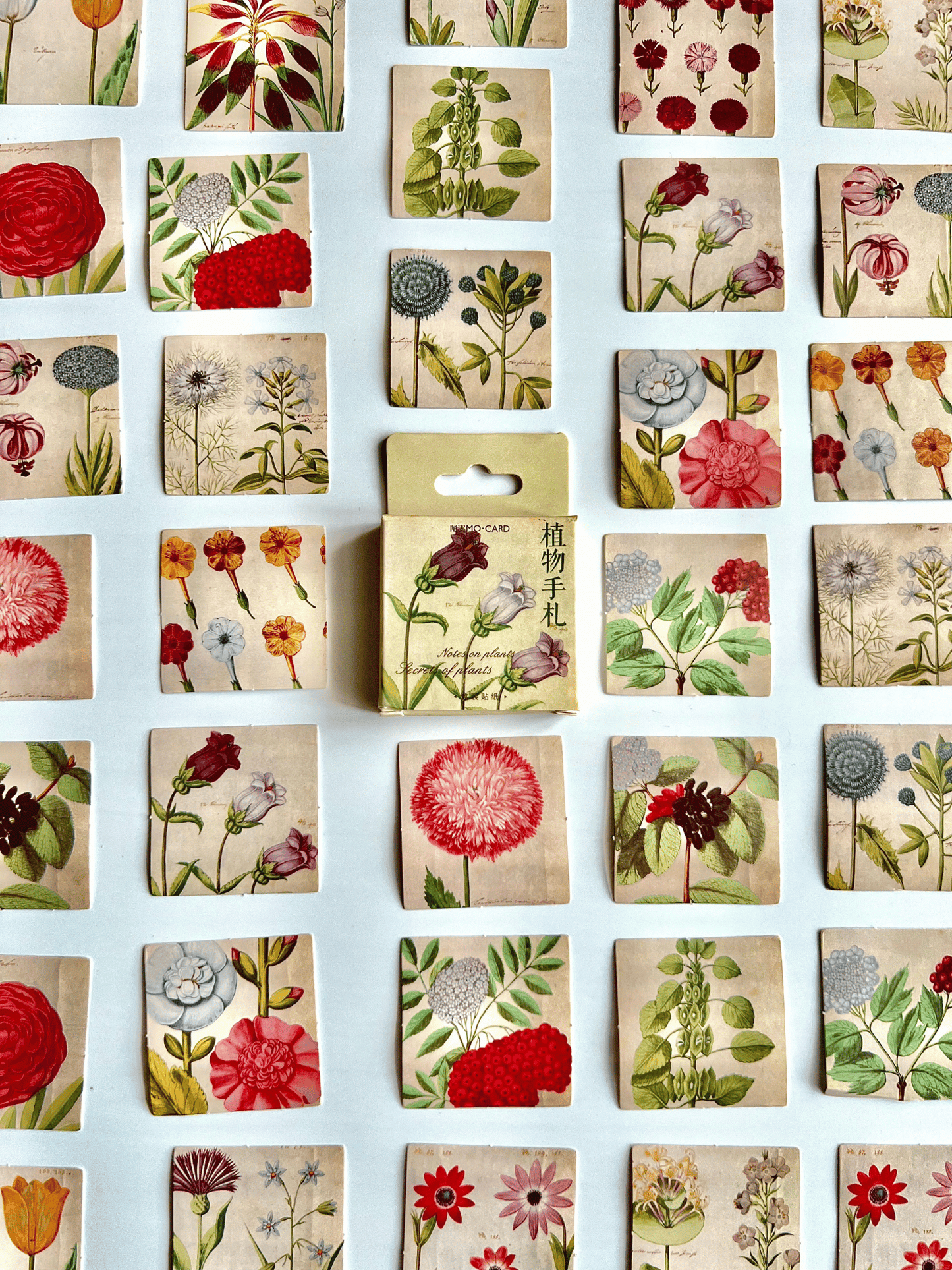 Botanical garden sticker