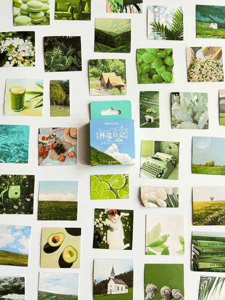 Sticker A forest diary