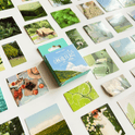 Sticker A forest diary