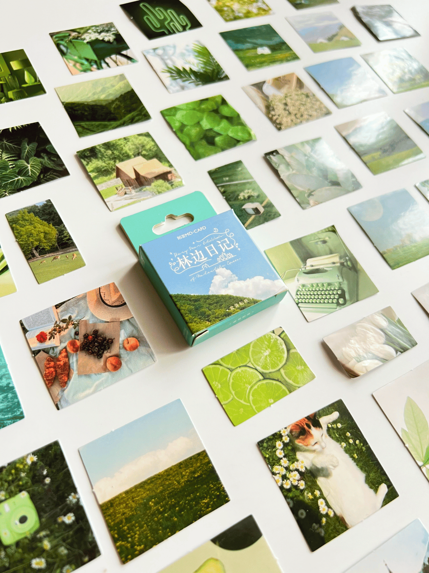 Sticker A forest diary