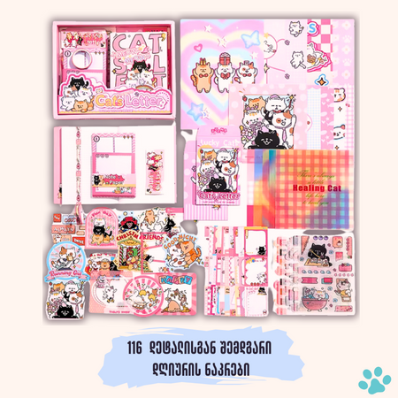 Cat's Letter Diary Set